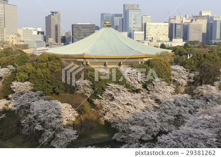 Tokyo · Nippon Budokan and Otemachi Buildings Cherry blossoms 29381262