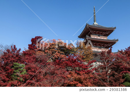 秋天的清水寺 29381386