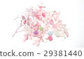Spring color dry flower 29381440