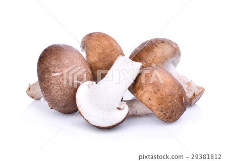 Shiitake mushroom isolated on white background 29381812