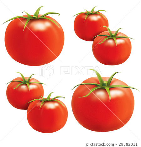 Tomato 29382011