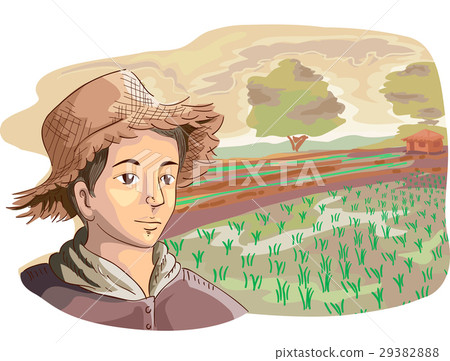 Man Farmer Rice Fields Man Farmer Rice Fields 29382888
