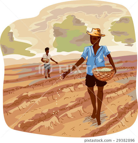 Man Traditional Farming Seeds 29382896