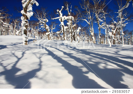 冬天冰和雪原〜冬天風景在Horo Takiyama附近 29383057
