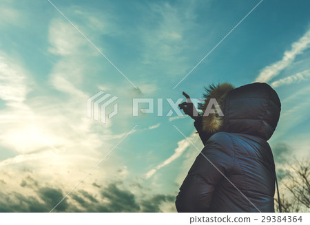 Winter promenade 29384364