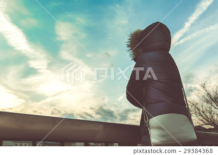 Winter promenade 29384368