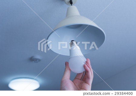 電燈泡 29384400