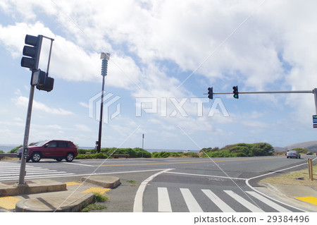 一條路 29384496