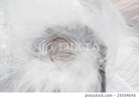 Two Golden Wedding Rings and Feathers - gentle Two Golden Wedding Rings and Feathers - gentle 29384648