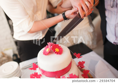 bride and a groom is cutting their wedding cake 29384704