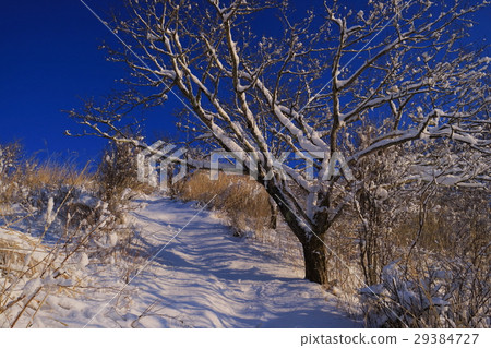 從Ohira山的斯諾伊山道路在Yamanakako 從Ohira山的斯諾伊山道路在Yamanakako 29384727