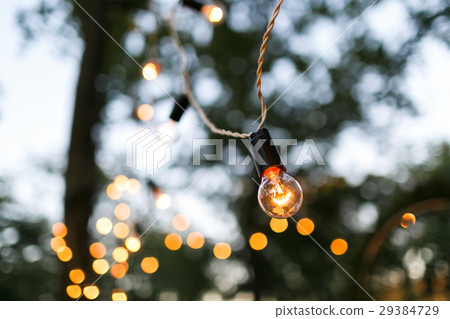 Torse of filament lamp in evening park Torse of filament lamp in evening park 29384729