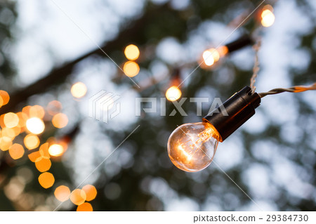 Torse of filament lamp in evening park Torse of filament lamp in evening park 29384730