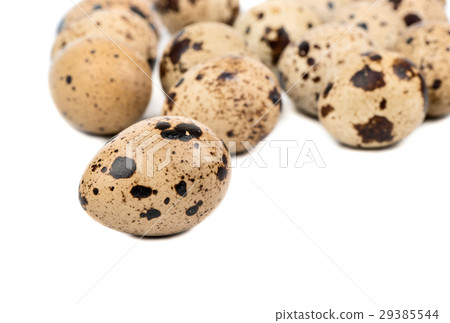 Quail eggs 29385544