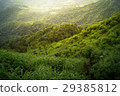 Amazing view peak of Mountain in Thailand 29385812