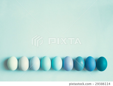 Pastel blue Easter eggs in a line 29386114