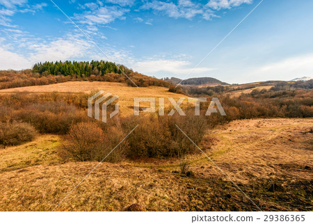 forest on a mountain hill side forest on a mountain hill side 29386365