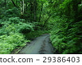 Landscape running in mountain path 29386403