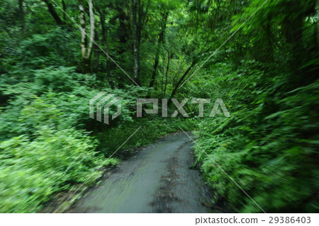 跑在山道路的風景 跑在山道路的風景 29386403