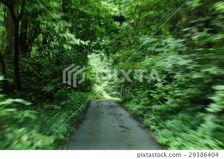 跑在山道路的風景 跑在山道路的風景 29386404