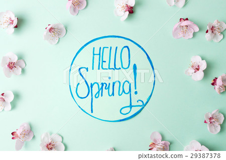 Hello spring note with cherry blossom flowers Hello spring note with cherry blossom flowers 29387378