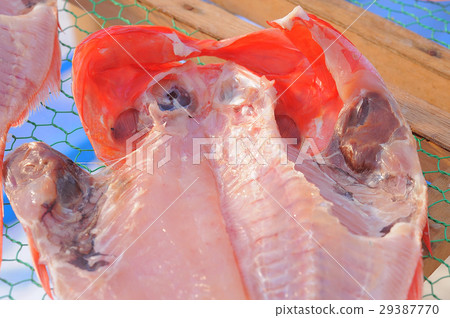Sun dried fish dried in the sun 29387770
