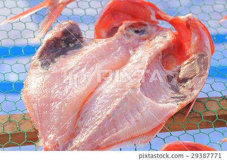 Sun dried fish dried in the sun 29387771