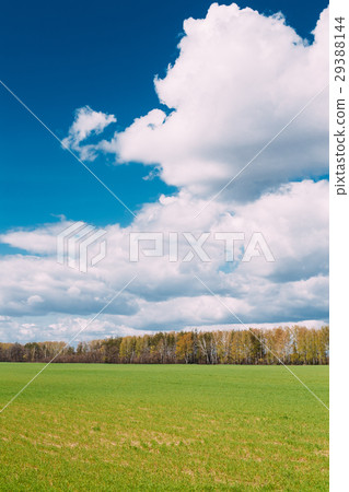 Countryside Rural Field Or Meadow Landscape With 29388144