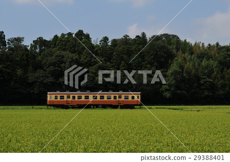 Hitachinaka Beach Railway Kiha 205 Hitachinaka Beach Railway Kiha 205 29388401