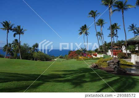 Golf Resort 29388572