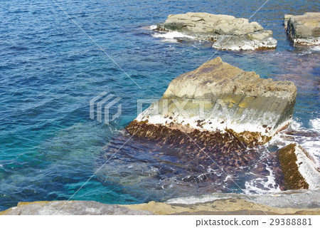 Nori Stone Garden Nori Inhabiting Rocks Susa Stock Photo 29388881 Pixta pixta