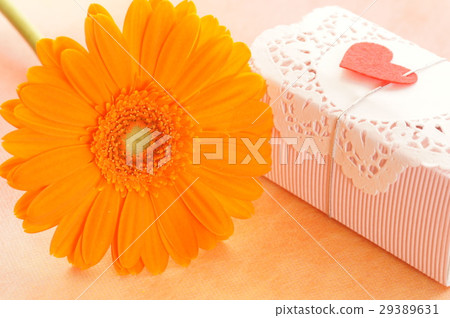 Gerbera and gift box Gerbera and gift box 29389631