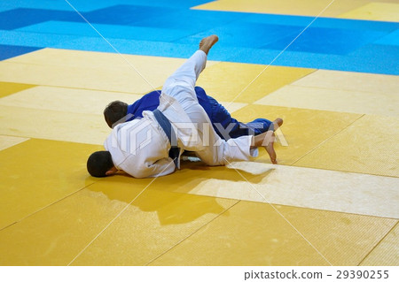 Boys compete in Judo Boys compete in Judo 29390255