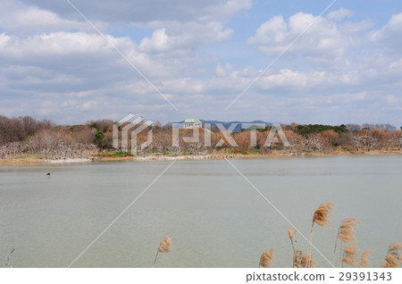 Ko陽景觀 29391343