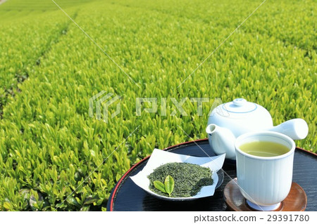 Early summer fresh green tea fields and new tea Early summer fresh green tea fields and new tea 29391780