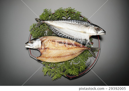 鯖魚串 29392005