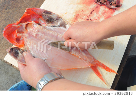 Separate the gold eye snapper 29392813