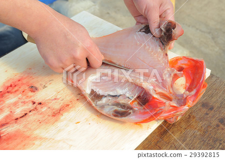 分開金眼鯛魚 分開金眼鯛魚 29392815