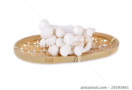 shimeji mushroom, white beech mushroom in basket shimeji mushroom, white beech mushroom in basket 29393661