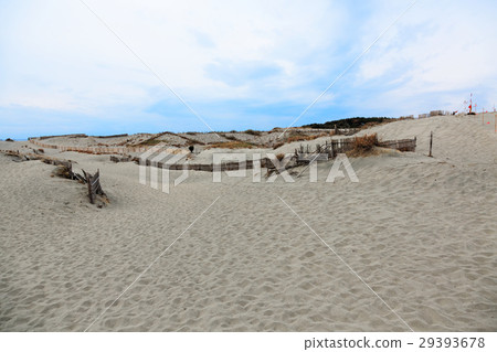 Nakadashima sand dune 29393678
