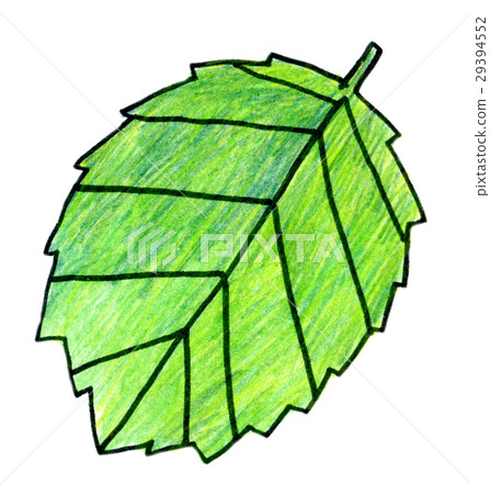 Colored pencil illustration leaves 29394552