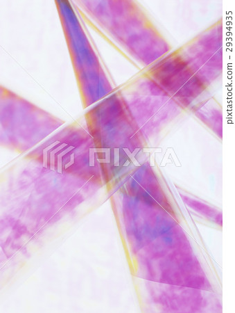 Digital Image 29394935