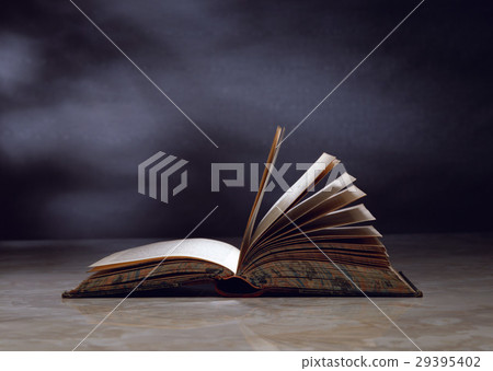 一本書 一本書 29395402