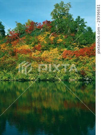 Autumn leaves Autumn leaves 29396681
