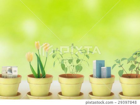 Potted plant Potted plant 29397848
