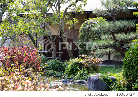 Scenery of Japanese garden 29399427