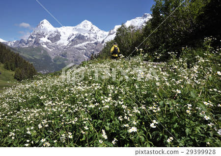 Hiking from Arment Hovel to Mürren 29399928