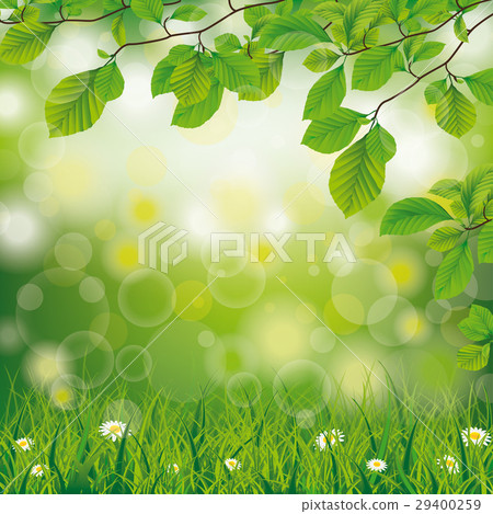 Easter Spring Beech Twigs Grass Daisy Flowers 29400259