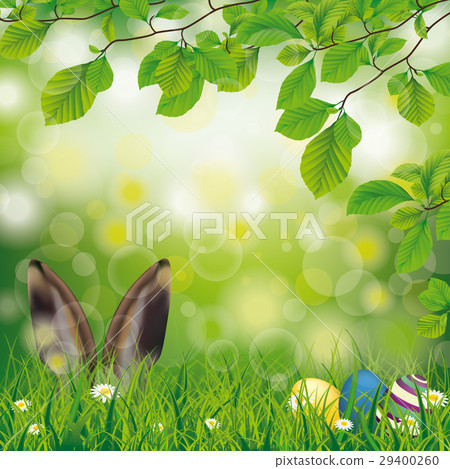 Easter Spring Hare Eggs Beech Twigs Flowers Easter Spring Hare Eggs Beech Twigs Flowers 29400260