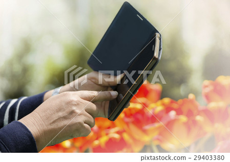 Woman useing smartphone in the garden Woman useing smartphone in the garden 29403380